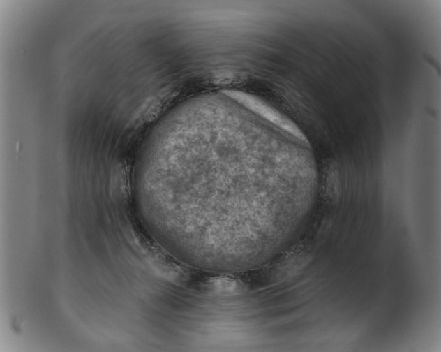 X0000101650272200807241402