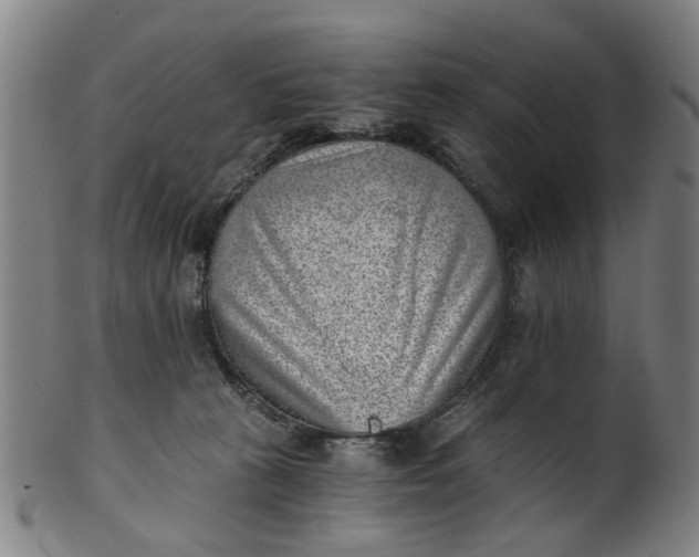 X0000101650273200807241402