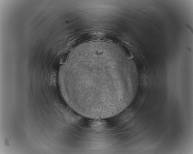 X0000101650274200807241402
