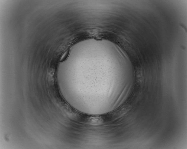 X0000101650275200807241402
