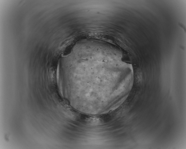 X0000101650276200807241402