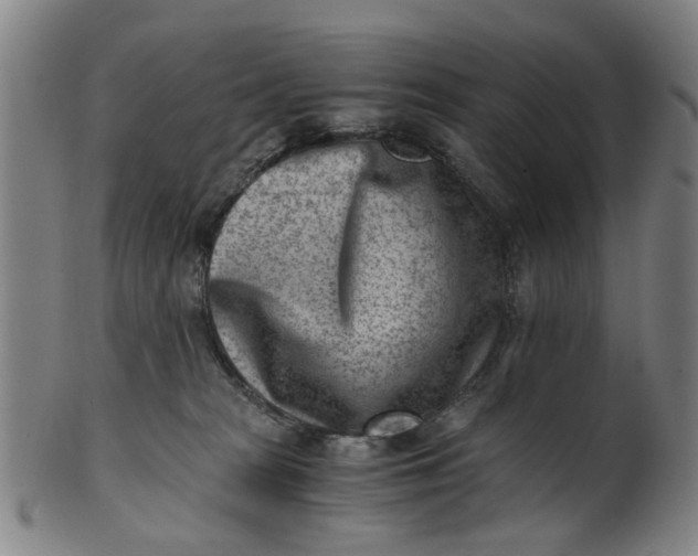 X0000101650277200807241402