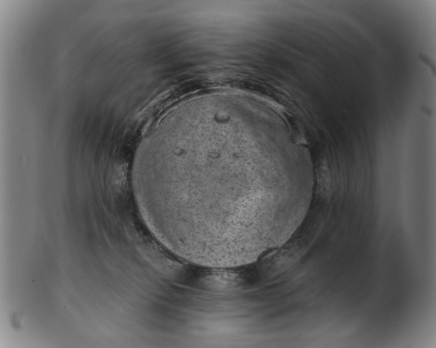 X0000101650278200807241402