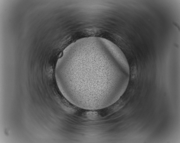 X0000101650279200807241402