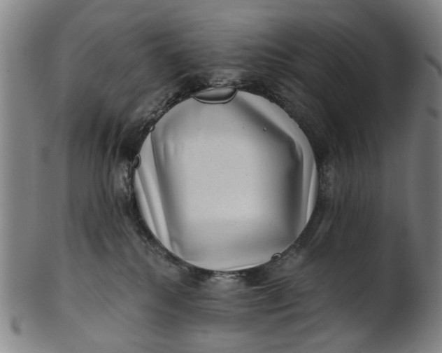 X0000101650280200807241402