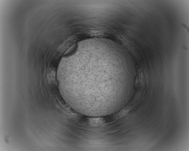 X0000101650281200807241402