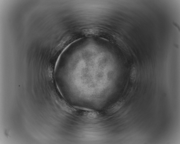X0000101650282200807241402