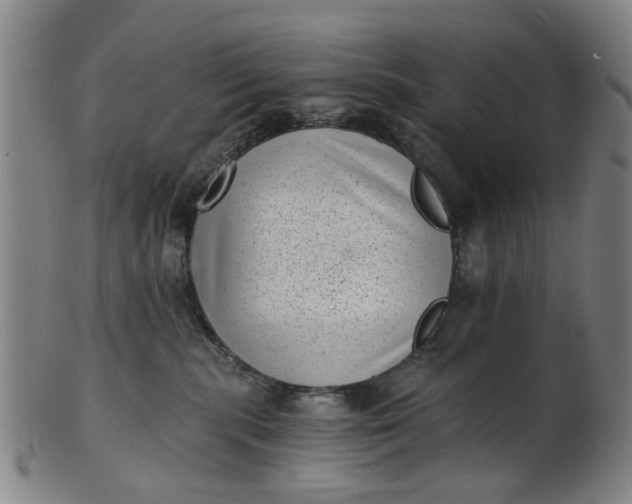 X0000101650283200807241402