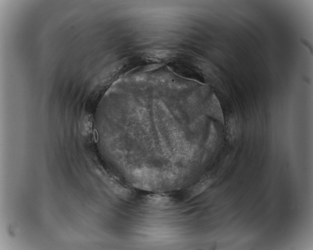 X0000101650284200807241402