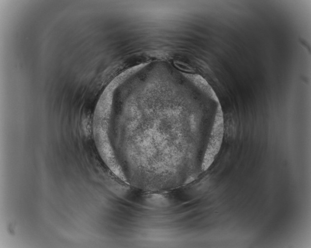 X0000101650285200807241402