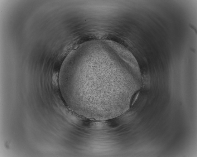 X0000101650286200807241402