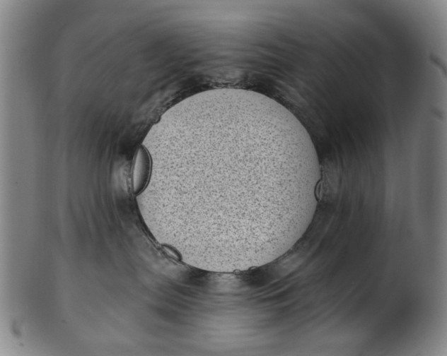 X0000101650287200807241402