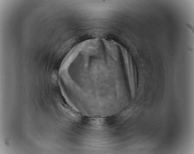 X0000101650288200807241402