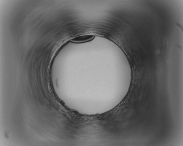 X0000101650289200807241401