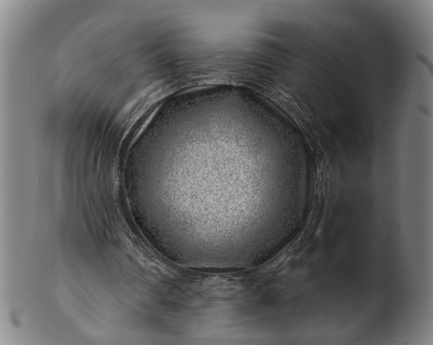 X0000101650290200807241401