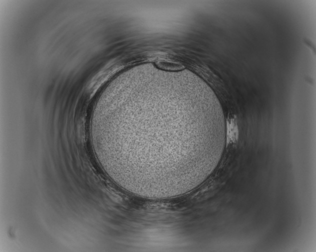 X0000101650291200807241401