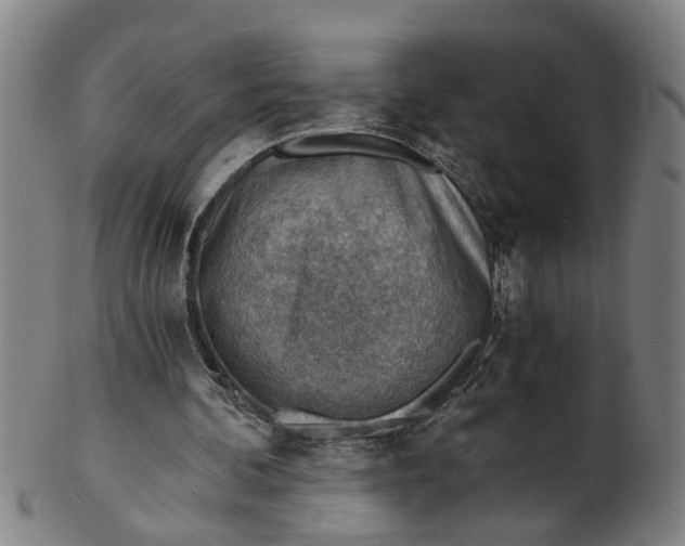 X0000101650292200807241401