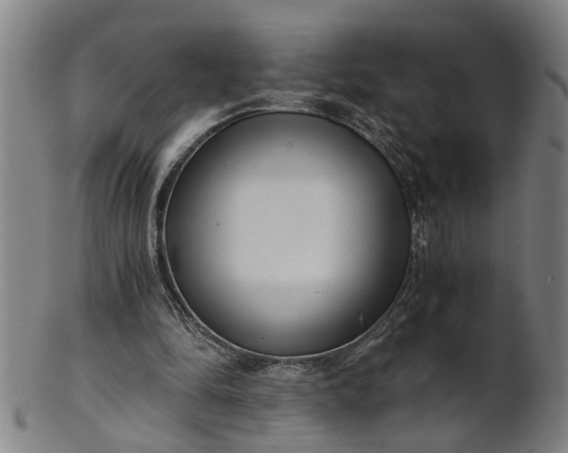 X0000101650294200807241401