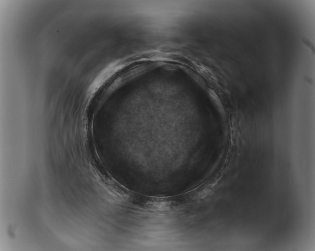 X0000101650295200807241401