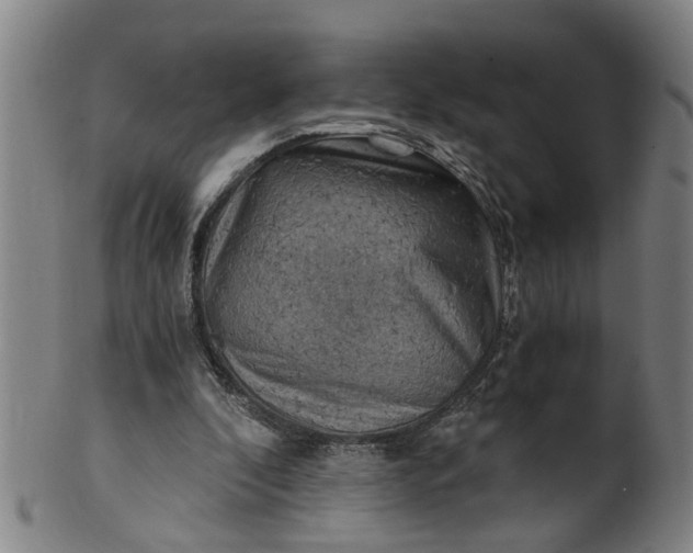 X0000101650296200807241401