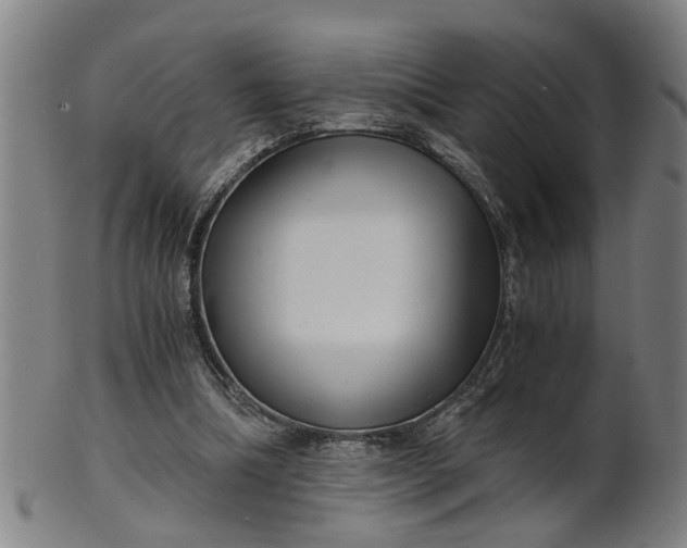 X0000101650298200807241401