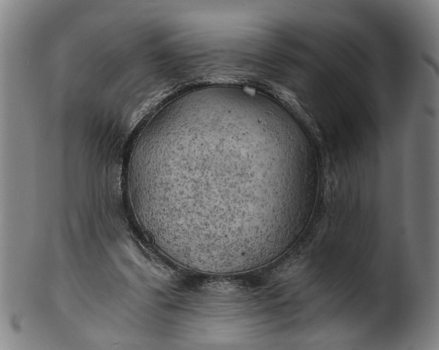 X0000101650299200807241401