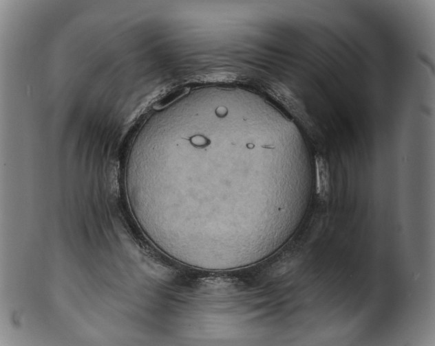 X0000101650300200807241401