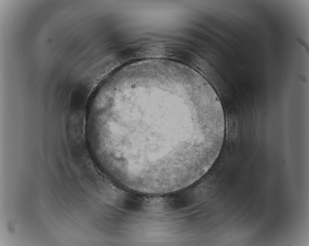 X0000101650301200807241401