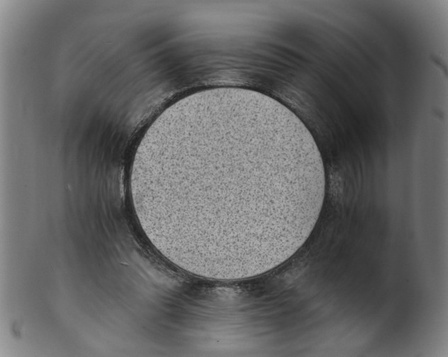 X0000101650302200807241401