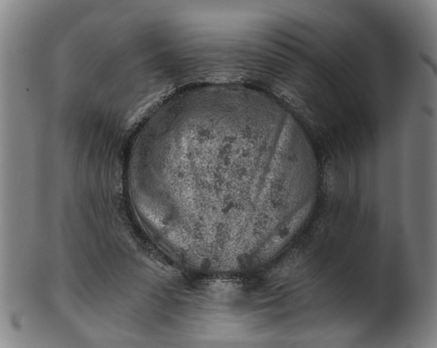 X0000101650303200807241401