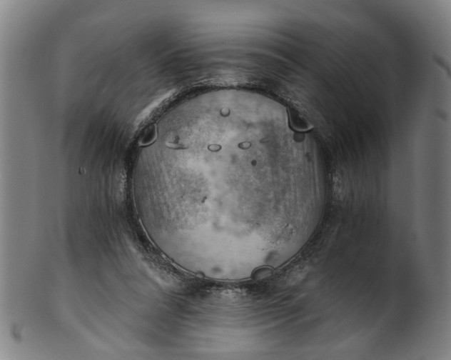 X0000101650304200807241401