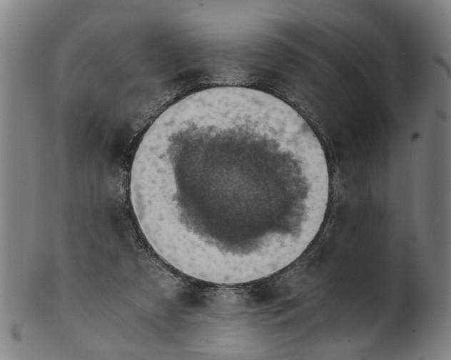 X0000101650305200807241401