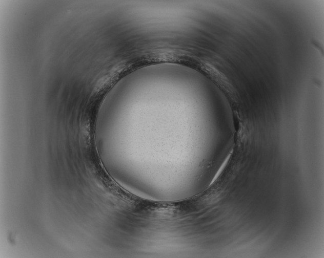 X0000101650306200807241401