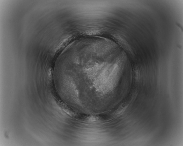 X0000101650308200807241401