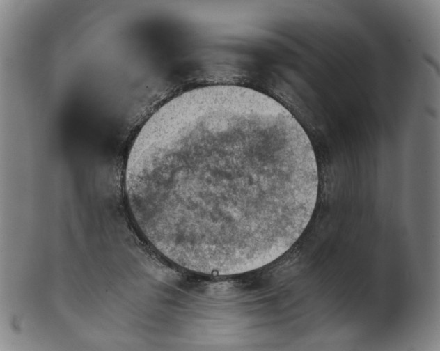 X0000101650309200807241401