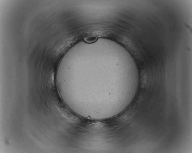 X0000101650310200807241401