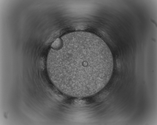 X0000101650311200807241401