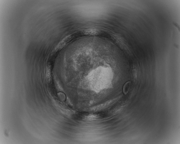 X0000101650312200807241401