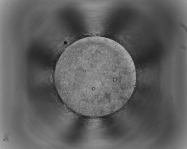 X0000101650313200807241401