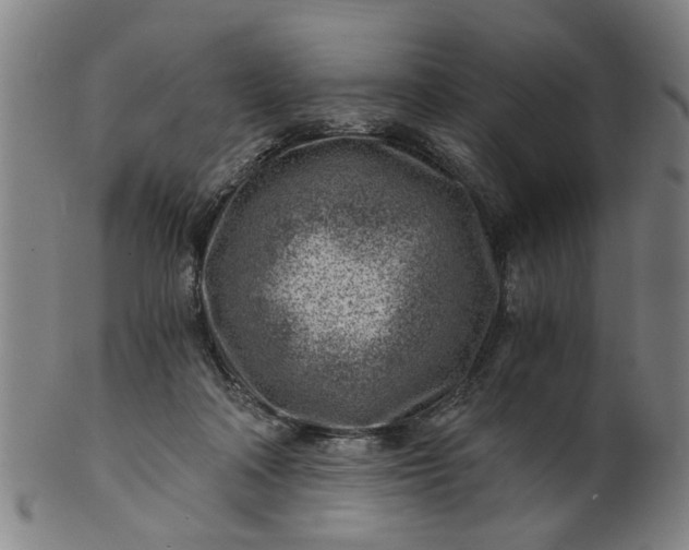 X0000101650314200807241401