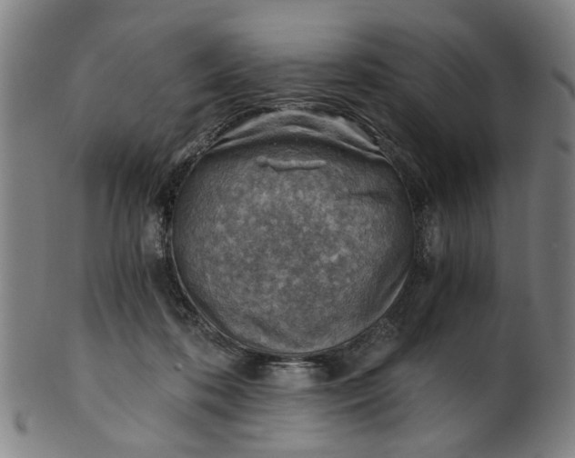 X0000101650316200807241401
