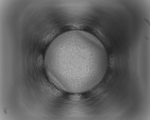 X0000101650318200807241401