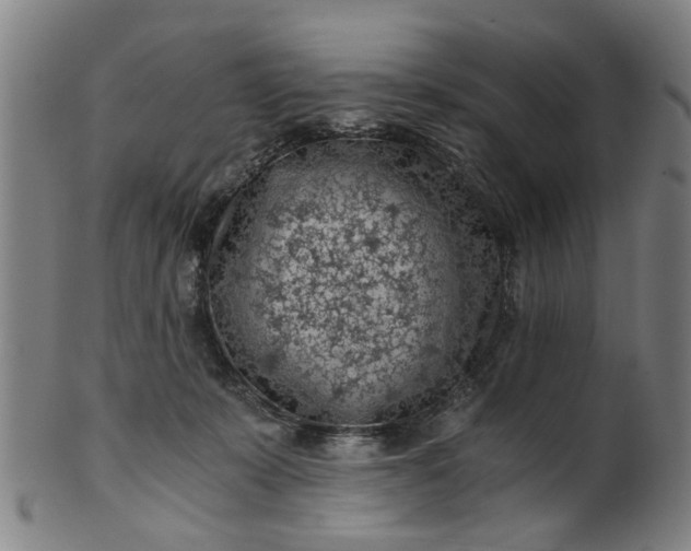 X0000101650319200807241401