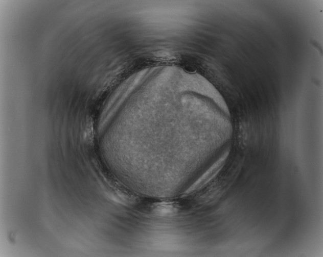 X0000101650320200807241401