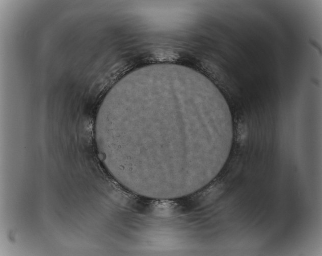 X0000101650321200807241401