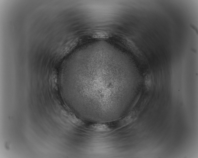 X0000101650322200807241401