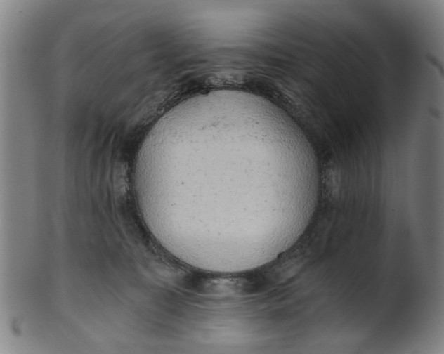 X0000101650323200807241401