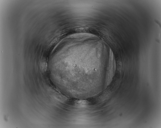 X0000101650324200807241401