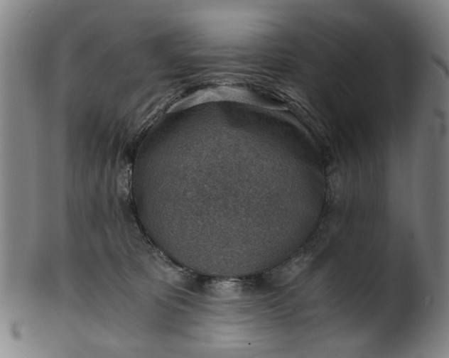 X0000101650325200807241400