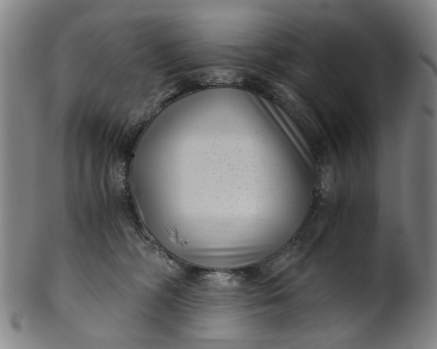 X0000101650326200807241400